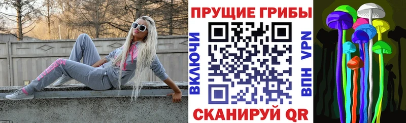 где купить Яблоновский Галлюциногенные грибы GOLDEN TEACHER